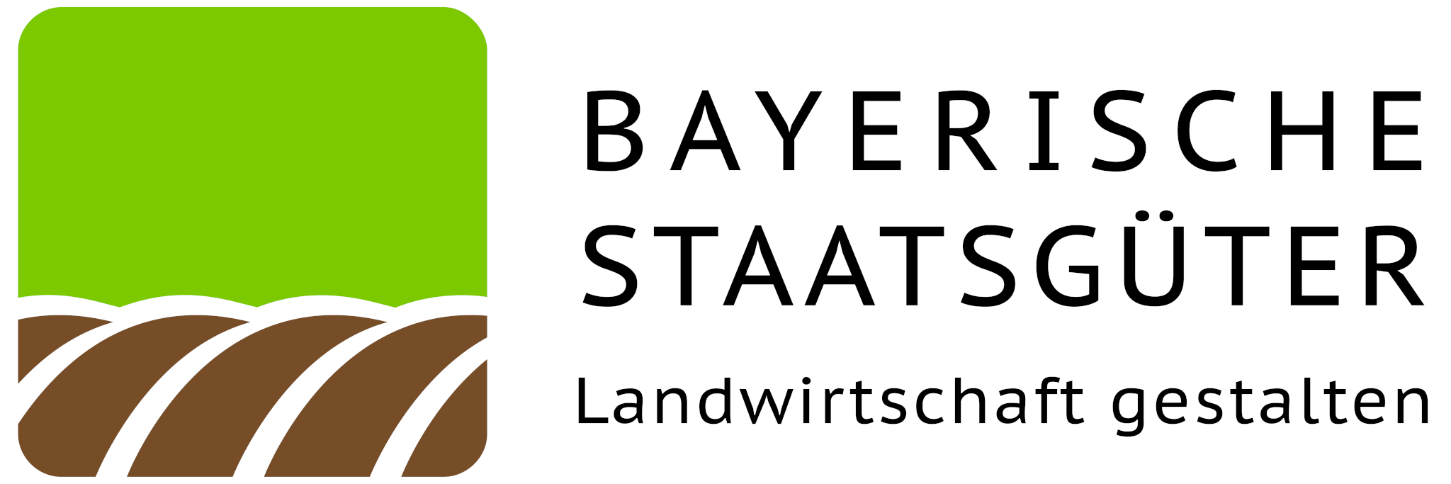BaySG Logo